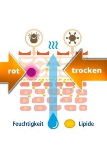 Sensicutan Behandlungskonzept